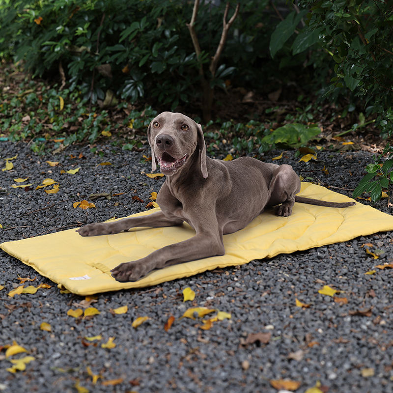 Portable Pet Mat Foldable Pet  - đánh giá và giá Camping Cot Foldable