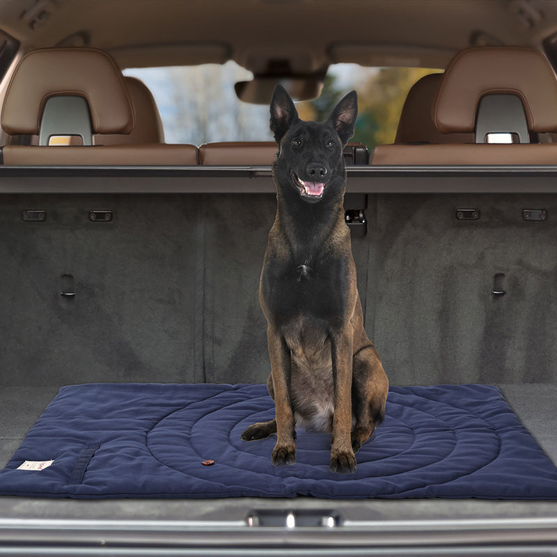 Portable Pet Mat Foldable Pet  - đánh giá và giá Camping Cot Foldable